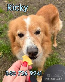 Ricky 5 anni taglia piccola