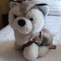 Peluche cane Husky della marca Trudi