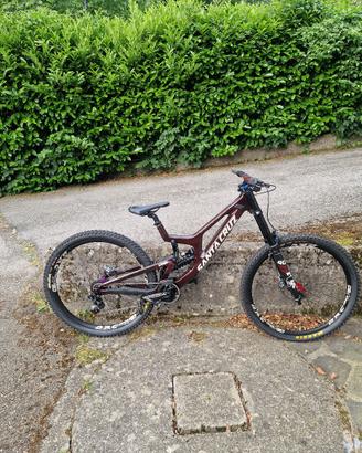 Santa Cruz V10