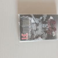 Articolo 31. Cassetta