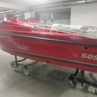 SESSA 450 con MERCURY 25 4T  / HONDA 40 CV 4T