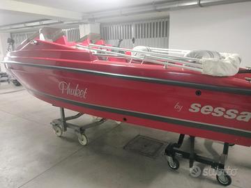 SESSA 450 con MERCURY 25 4T  / HONDA 40 CV 4T