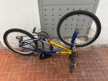 Bici tipo mountain bike
