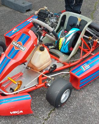 Kart Rotax 125 pronto pista – motore rifatto