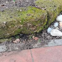 Blocchi / mattoni tufo 37x20x11 muschiati