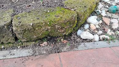 Blocchi / mattoni tufo 37x20x11 muschiati