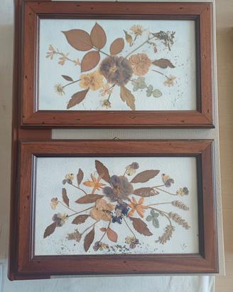 Quadretti con fiori secchi 