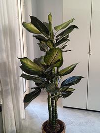 Pianta artificiale EDG 