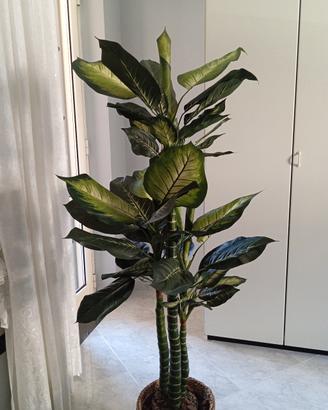 Pianta artificiale EDG 
