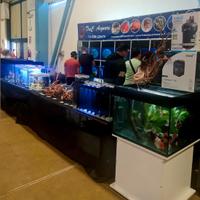 Negozio di pesci ornamentali Tre C a Monza