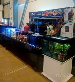Negozio di pesci ornamentali Tre C a Monza