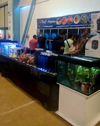 Negozio di pesci ornamentali Tre C a Monza