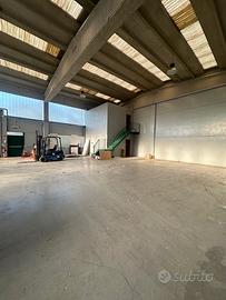 Capannone libero subito 350 mq con cortile