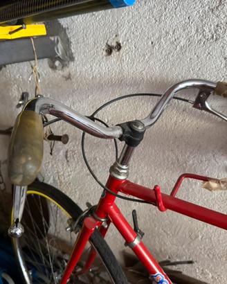 Bici sport