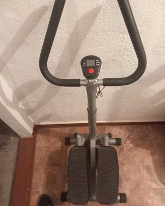 Step con manubri