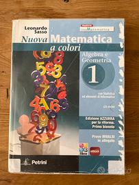 Nuova matematica a colori 1