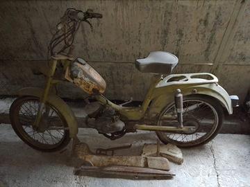 motorino 50 benelli export 3vk