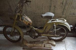 motorino 50 benelli export 3vk