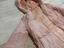 Immagine 3