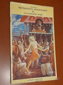Seeing Sri Chaitanya Mahaprabhu in Jagannatha Puri