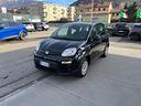fiat-panda-neopatentati