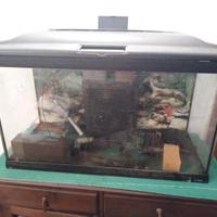 acquario 105 litri 