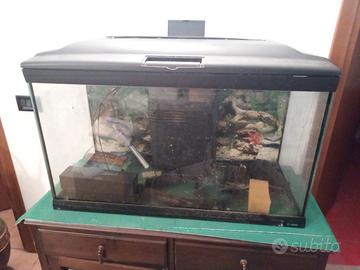 acquario 105 litri 
