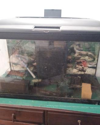 acquario 105 litri 