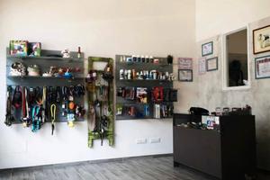 Attività di toelettatura e SPA a Carmagnola (TO)