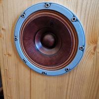 Diffusori largabanda M6