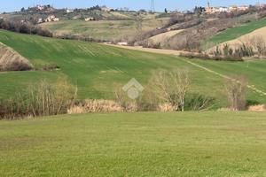TER. AGRICOLO A CORIANO