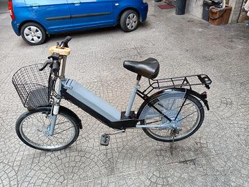 bici elettrica 