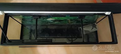 Acquario 