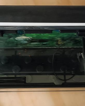 Acquario 