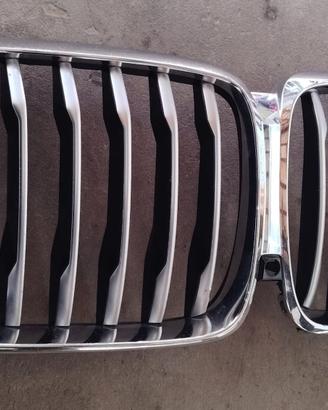 Coppia griglie anteriori BMW X5