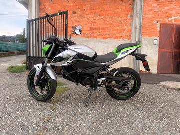 Kawasaki Z 1 E