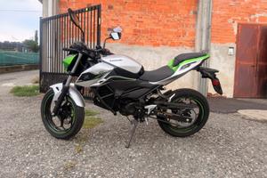 Kawasaki Z 1 E