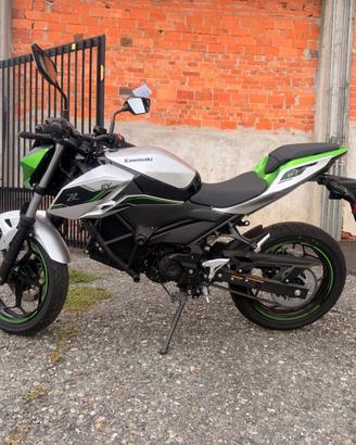 Kawasaki Z 1 E