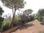 Immagine 8