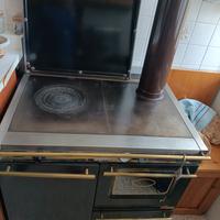 termostufa a legna x termosifoni