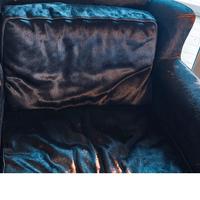 Poltrona Baxter in cavallino da rifare tappezzeria