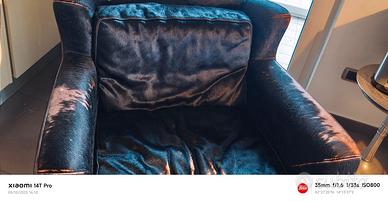 Poltrona Baxter in cavallino da rifare tappezzeria