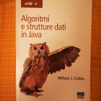 Libro "Algoritmi e strutture dati in Java"