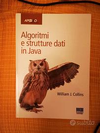 Libro "Algoritmi e strutture dati in Java"