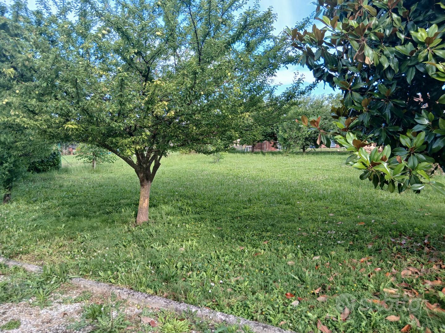 Rustico + terreno edificabile - View 3