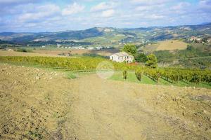 RUSTICO A OFFIDA