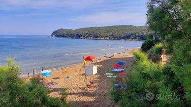 Appartamento 11 mare golfo di Baratti Populonia