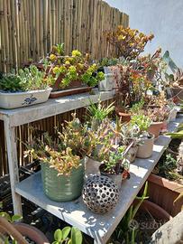 Fioriera (espositore da giardino per piante)