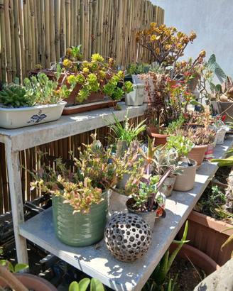 Fioriera (espositore da giardino per piante)