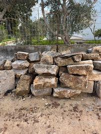 Basole e zanelle soleto